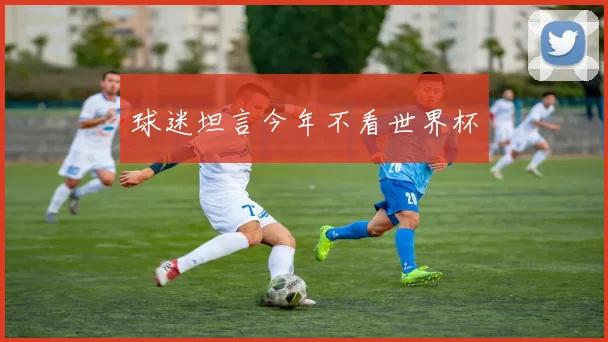 球迷坦言今年不看世界杯