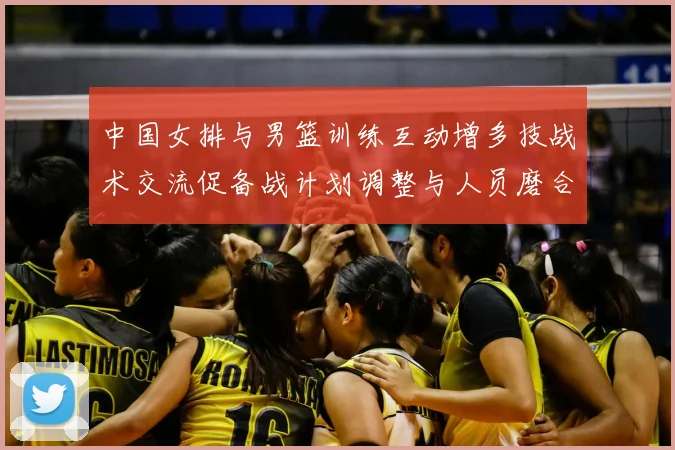 中国女排与男篮训练互动增多技战术交流促备战计划调整与人员磨合