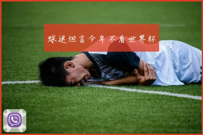 球迷坦言今年不看世界杯
