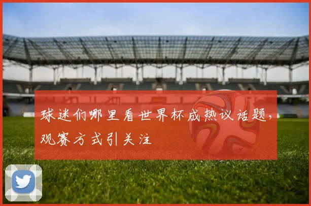 球迷们哪里看世界杯成热议话题，观赛方式引关注